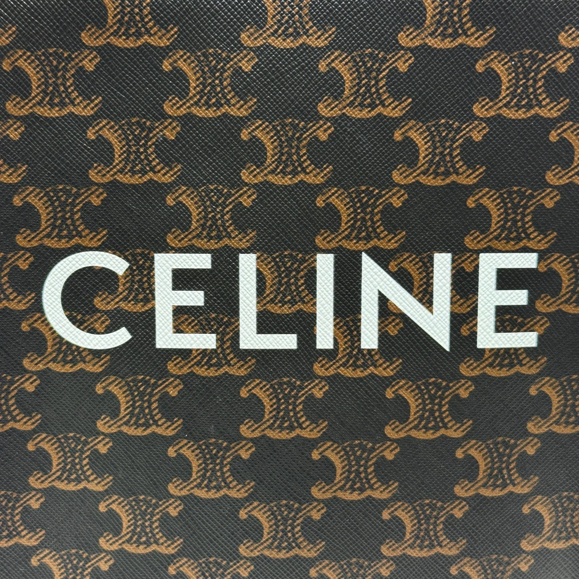 Celine Brown Triomphe Mini Vertical Cabas Tote