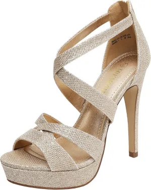 DREAM PAIRS Women's High Heel Platform Dress Pump Sandals