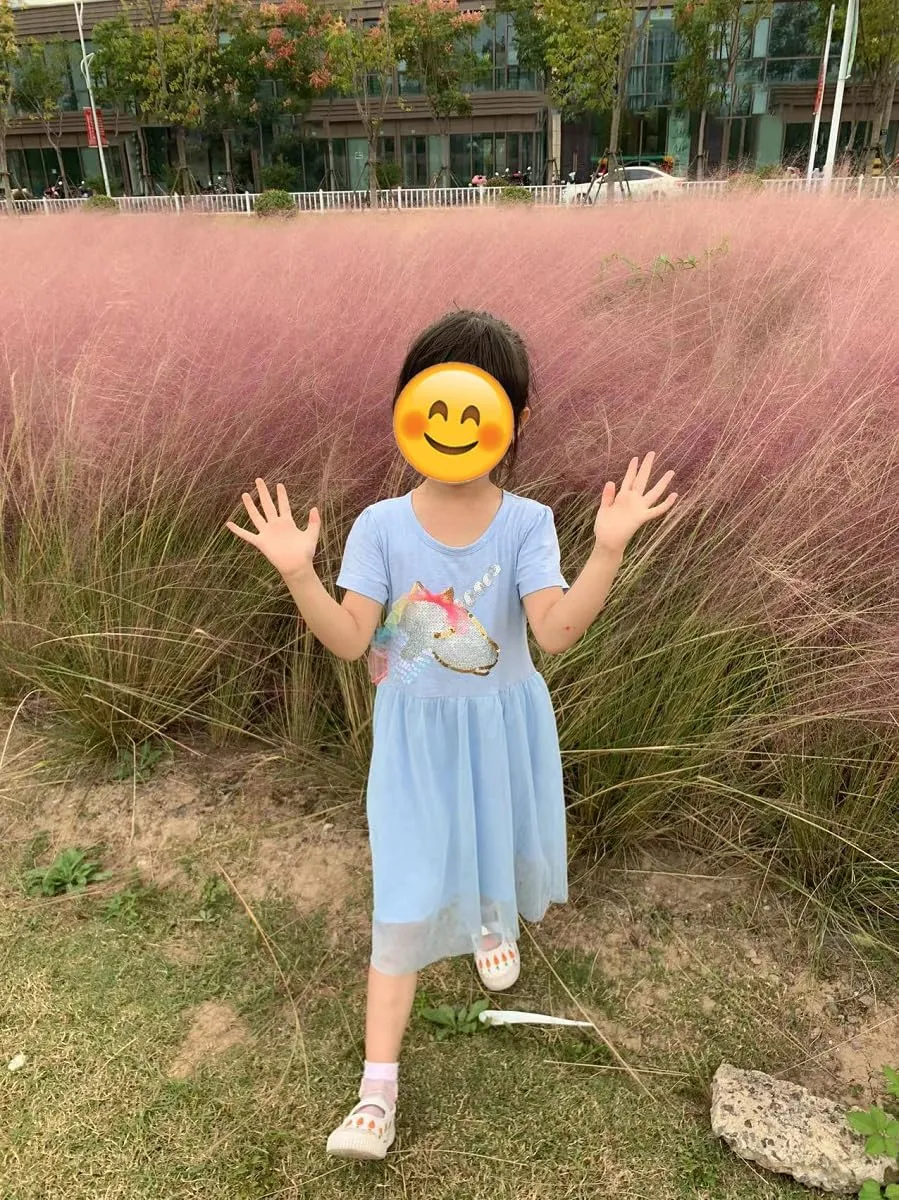 Hongshilian Toddler Girls Cotton Casual Dress Cartoon Print Short Sleeve Dress Girls Summer Sundress 2-7 Years
