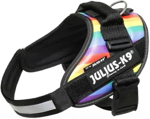 Julius-K9 IDC Powerharness, Size: L/1, Rainbow
