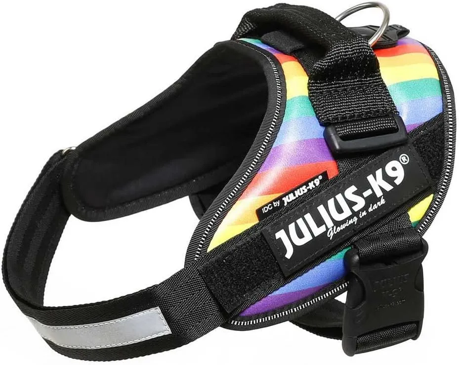 Julius-K9 IDC Powerharness, Size: L/1, Rainbow