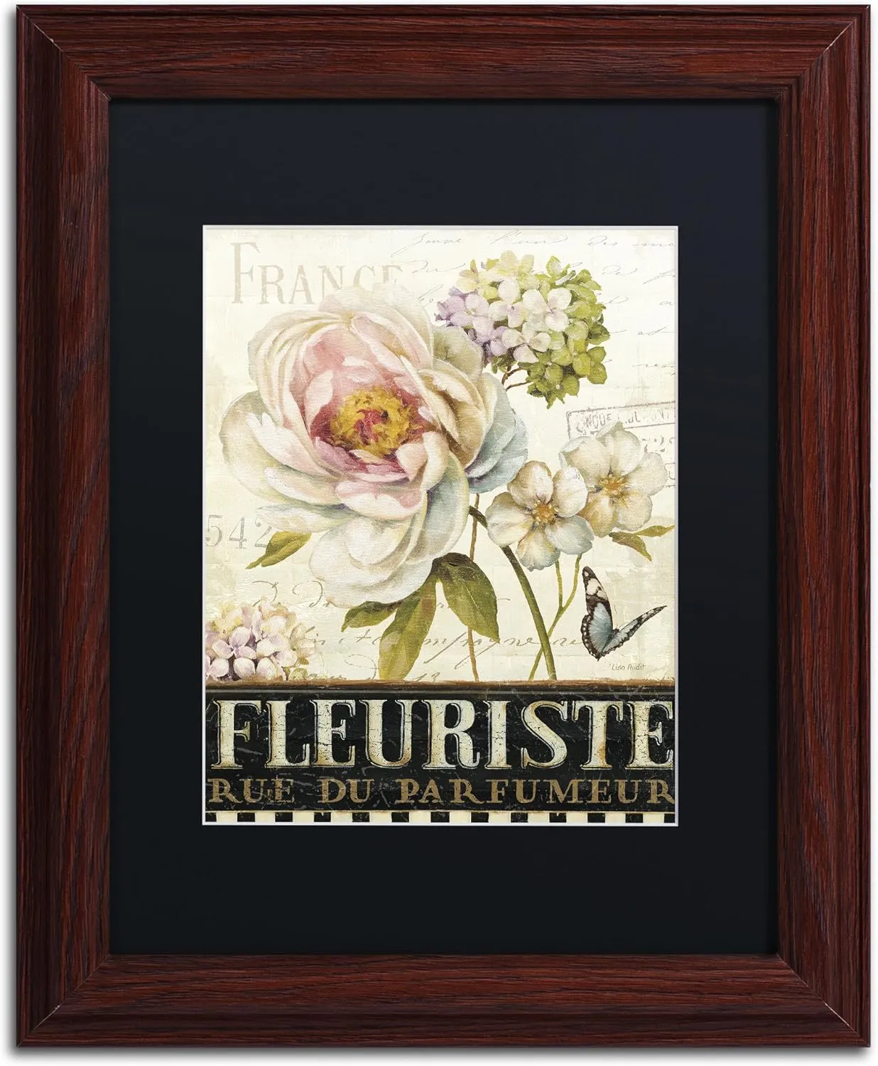 Marche de Fleurs VI Wall Decor by Lisa Audit, 11" x 14", Wood Frame, Black Matte