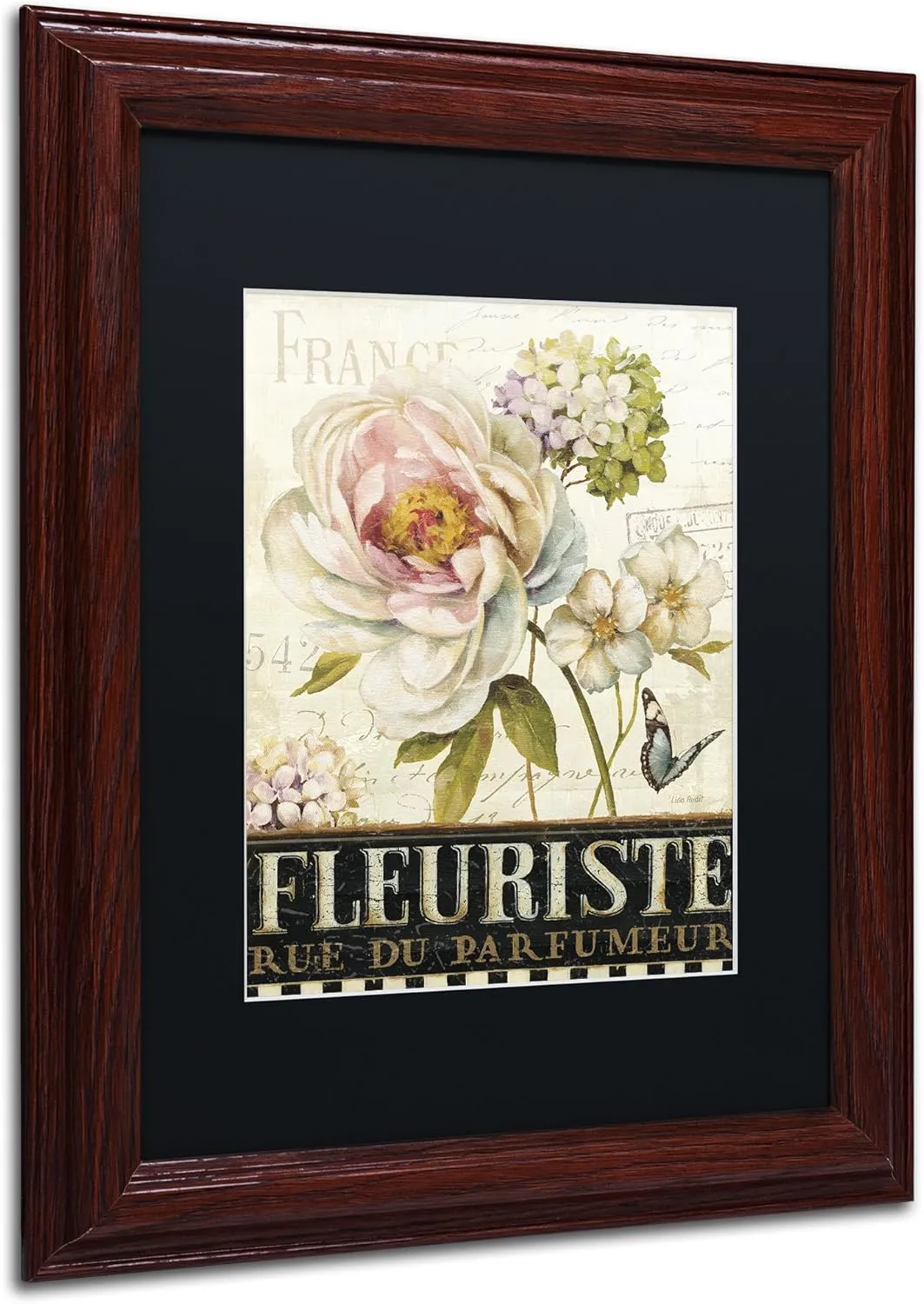 Marche de Fleurs VI Wall Decor by Lisa Audit, 11" x 14", Wood Frame, Black Matte