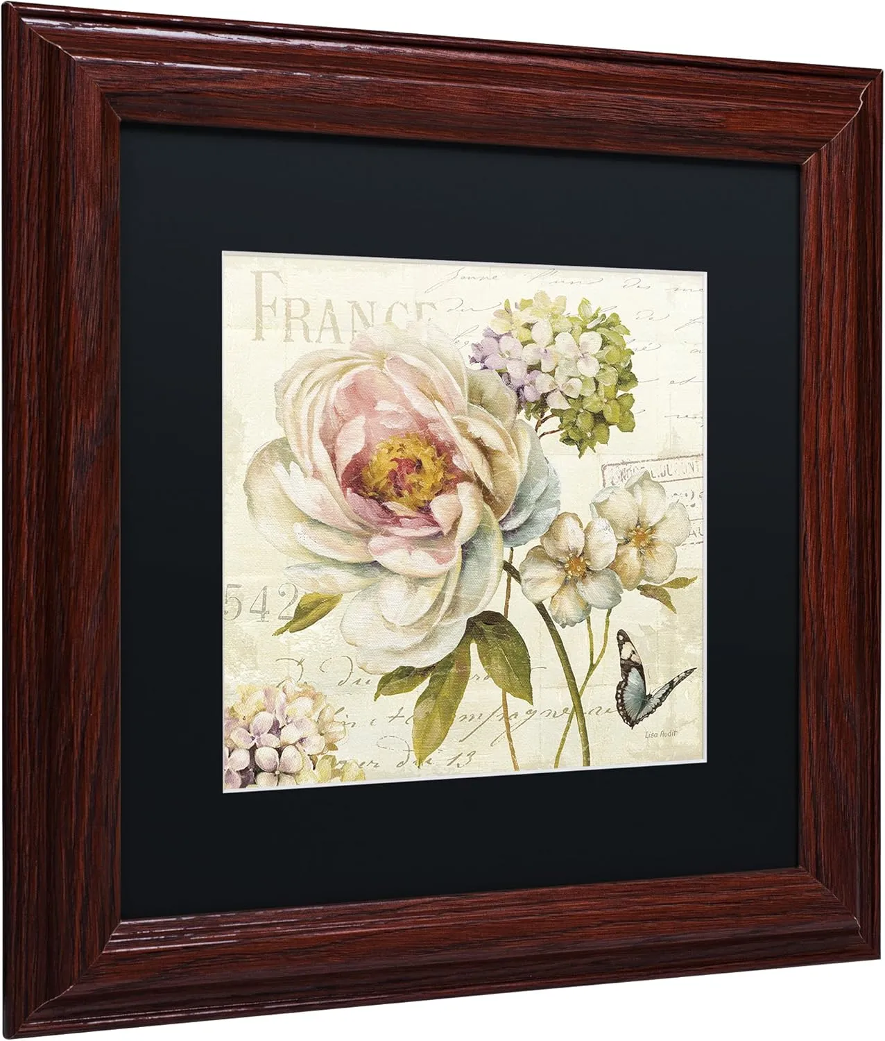 Trademark Fine Art Marche de Fleurs III Wall Decor by Lisa Audit, 11" x 11", Wood Frame, Black Matte
